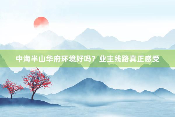 中海半山华府环境好吗？业主线路真正感受
